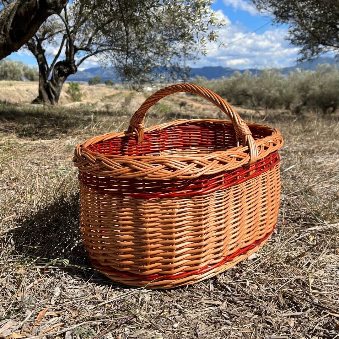 Cesta de mimbre grande con asa, perfecta para almacenamiento y decoración de setas, tamaño mediano y forma circular.